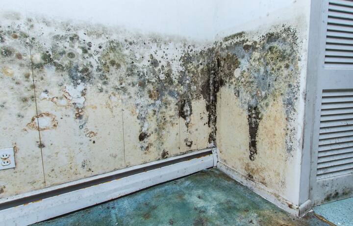 residential mold removal Beaverton, Oregon